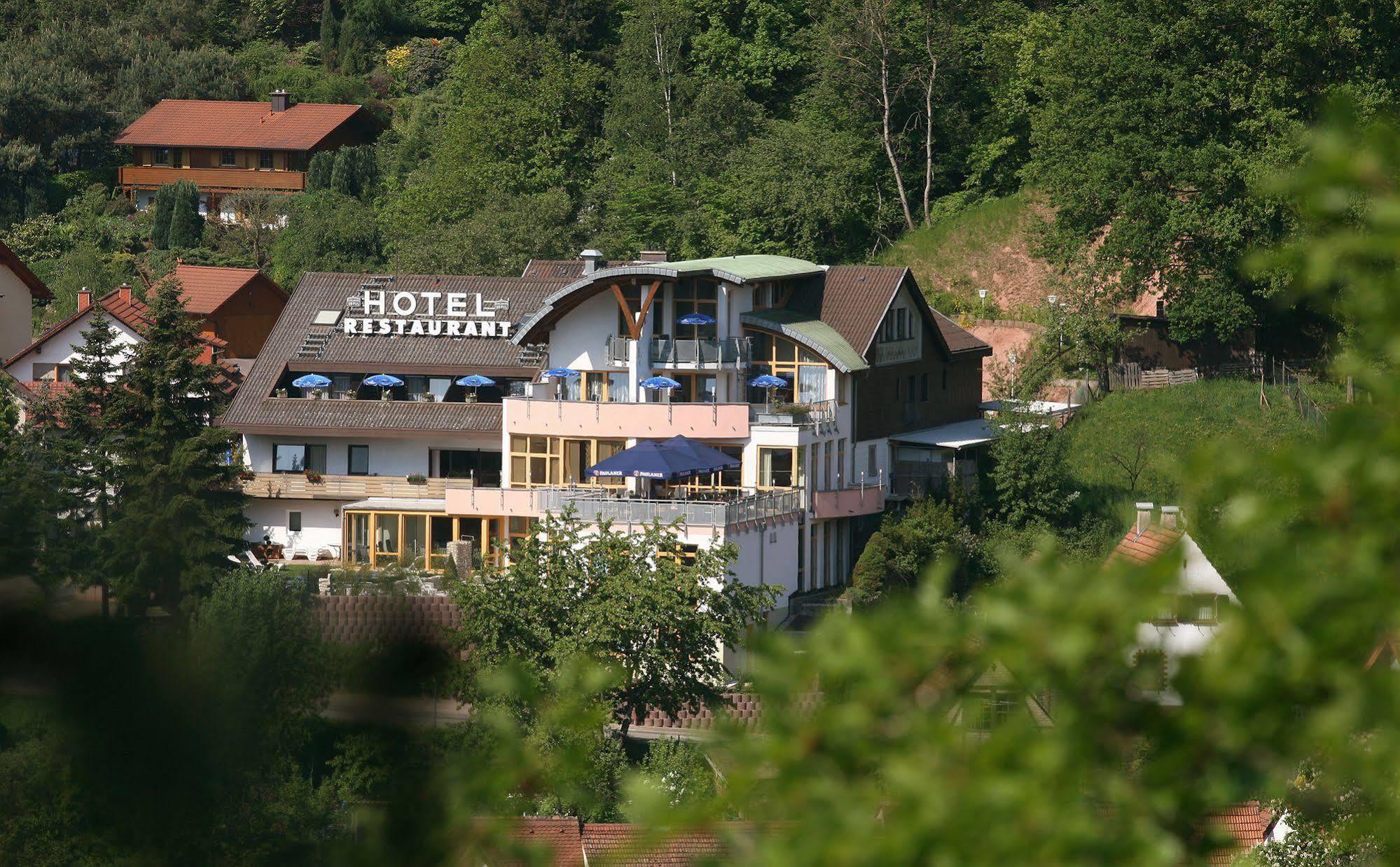 Hotel Am Hirschhorn - Wellness - Spa - And More Wilgartswiesen Extérieur photo